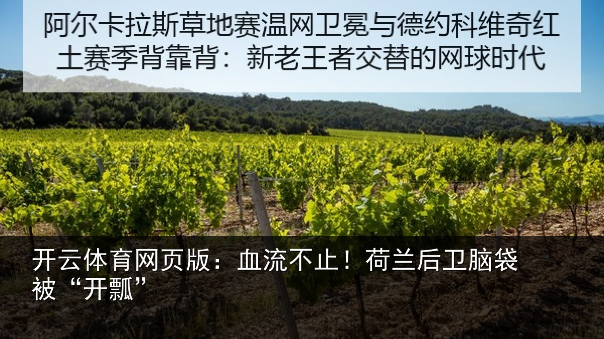 开云体育网页版:血流不止!荷兰后卫脑袋被“开瓢”